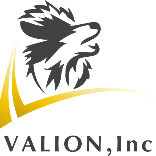 株式会社VALION